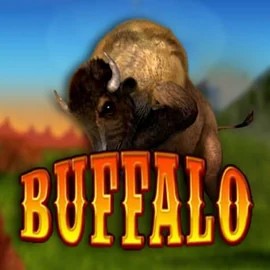 Try Buffalo Bingo slot by MGA Games on kittybingoslot.uk – logo image