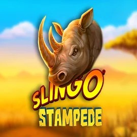 Slingo Stampede – slot by Slingo, featured at kittybingoslot.uk